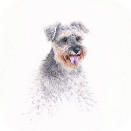 Ginger — DogDesigner